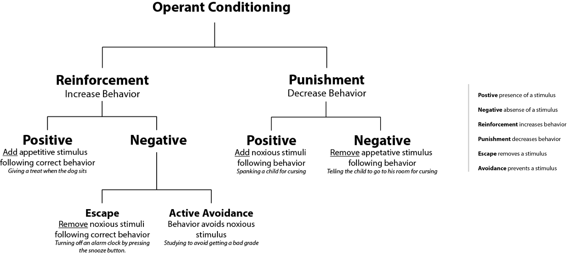 Operant Conditioning